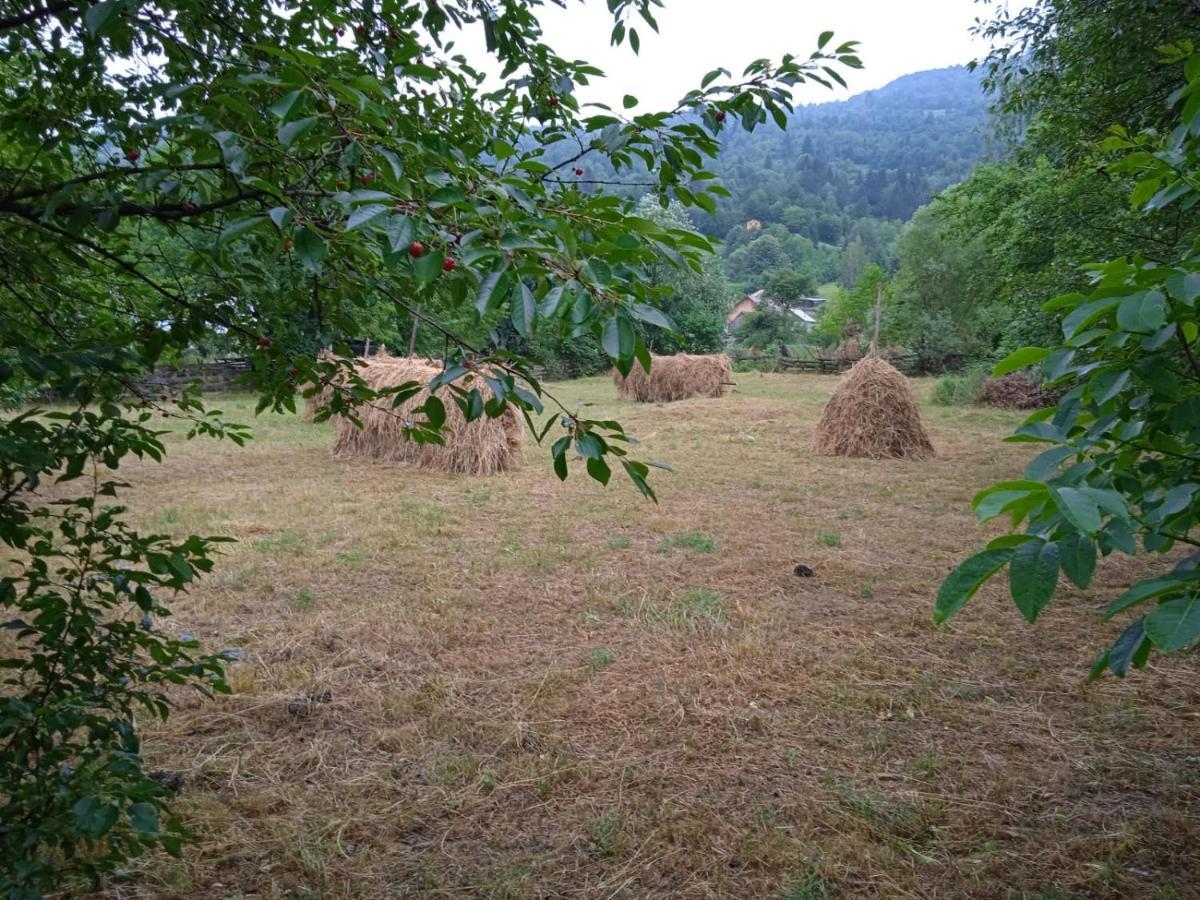 Complex De Pensiuni Si Casute La Munte- Casa ,,Dor De Munte,, Bistricioara Extérieur photo